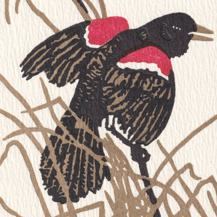Saturn Press - Wholesale Everyday Greeting Card - Red Wing Blackbird2