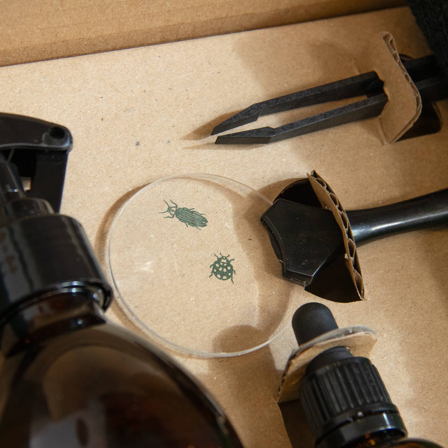 Botanopia - gifts , decor and cards for plant lovers – Großhandel Gartenwerkzeug – SOS Pflanzenset – Rettung kranker Pflanzen Blatt für Blatt4