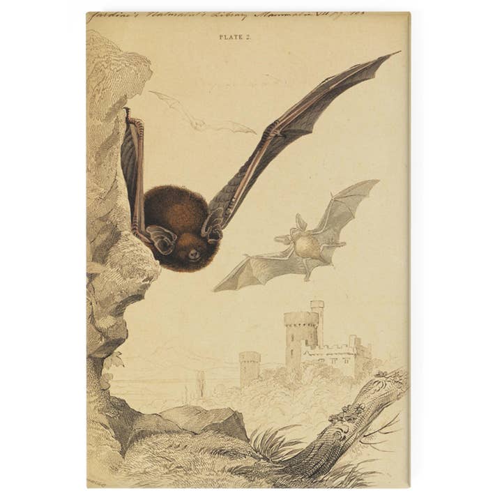 Bat Kingdom Magnet | Vintage Halloween for wholesale by LOOP Home Goods & Gifts