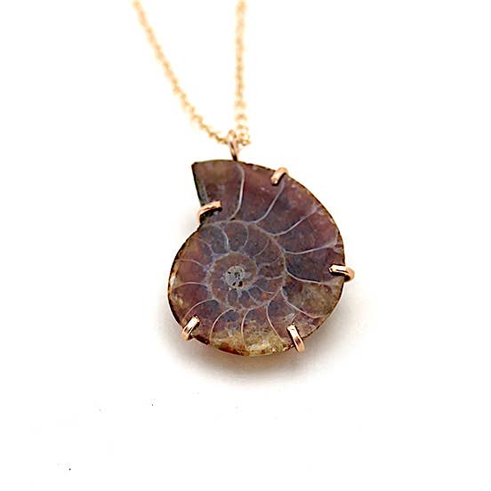 Alana Douvros Jewellery - Vendita all'ingrosso Collana con ciondolo/pendaglio - Collana Fossile di Ammonite