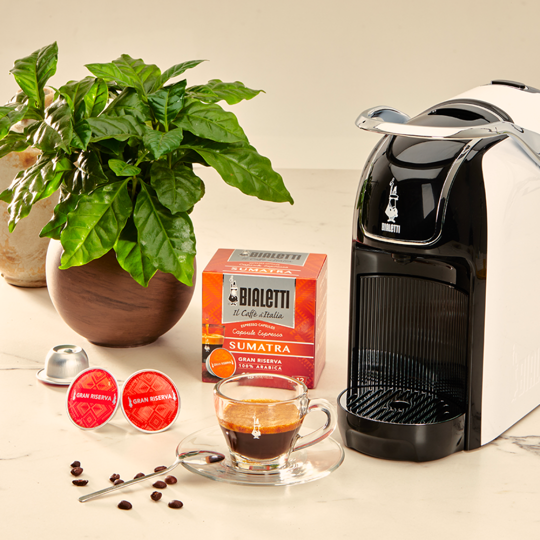 And Co. Brands – wholesale Coffee pods – Bialetti Caffe’ d’Italia Coffee Capsules x 167