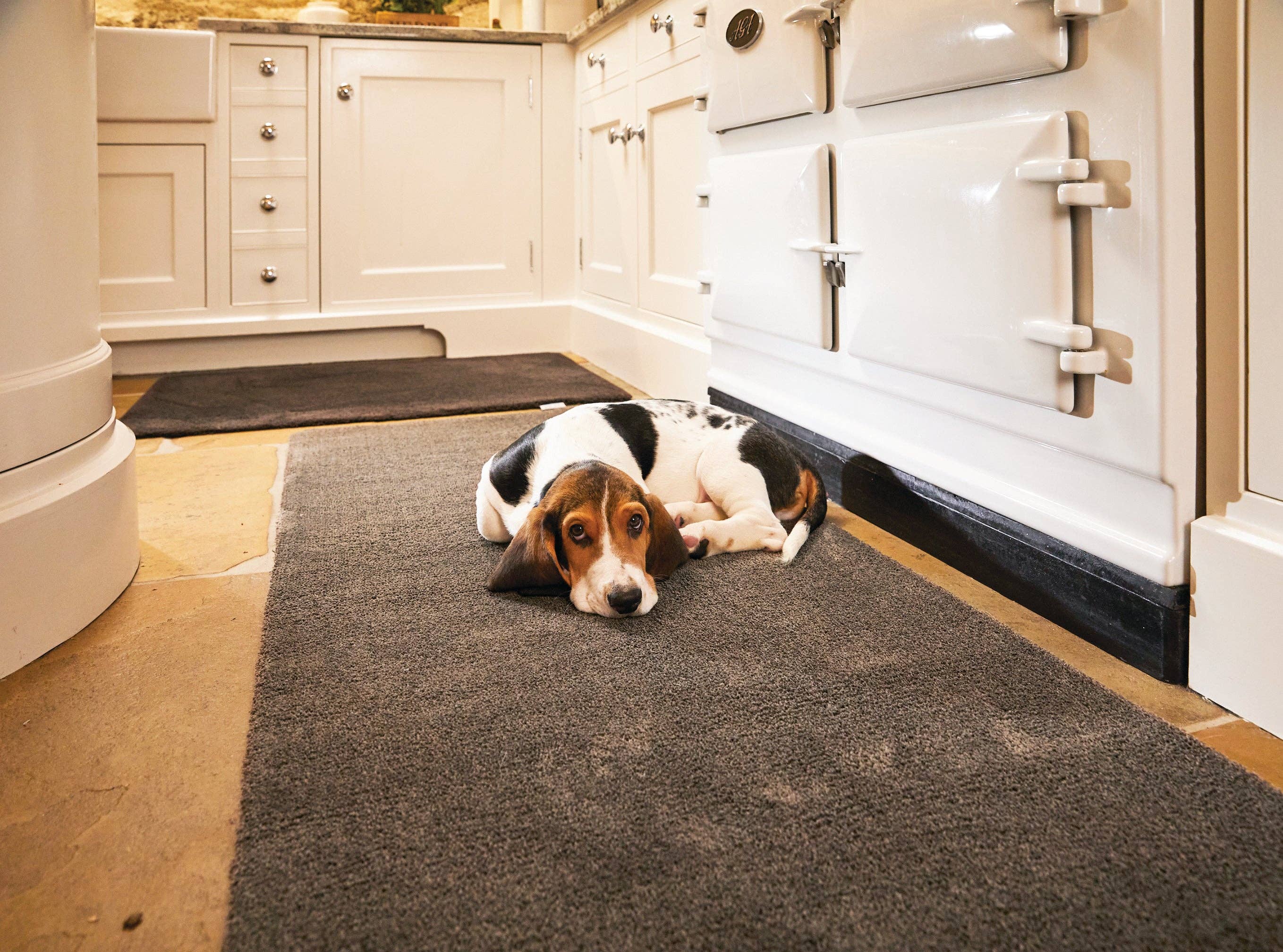 Phoenox Textiles – wholesale Dörrmatta – My Mat Mjuk Tvättbar - Kryddnejlika Brun1