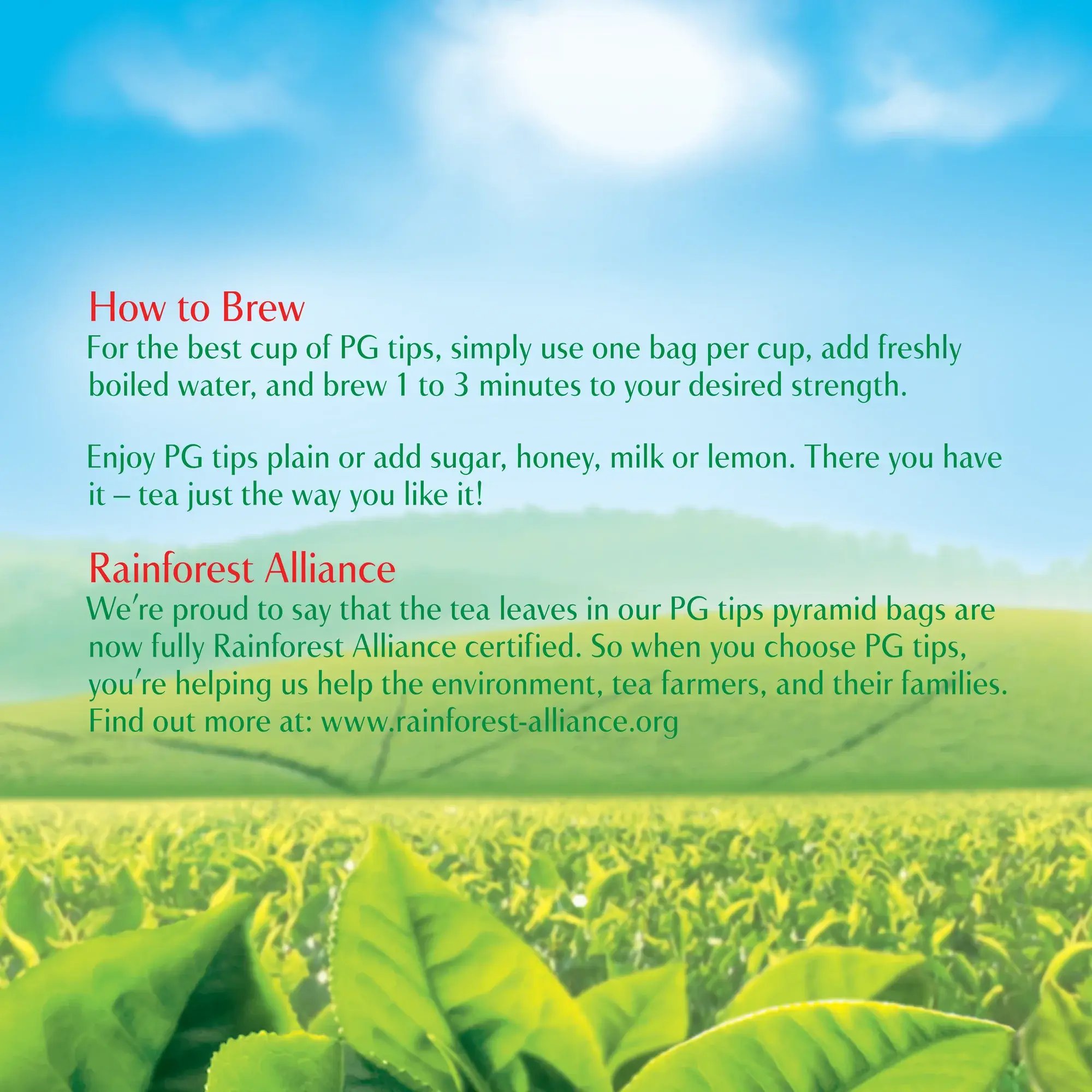 Lipton & TAZO - Wholesale Tea Bags - PG Tips Premium Classic Black Tea, Tea Bags, Caffeinated1