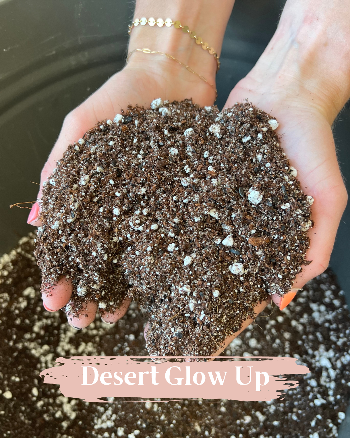 Packer Plant Co - Wholesale Planting/Potting Soil - Premium Houseplant Potting Media | Soil - 3.5 Qt1