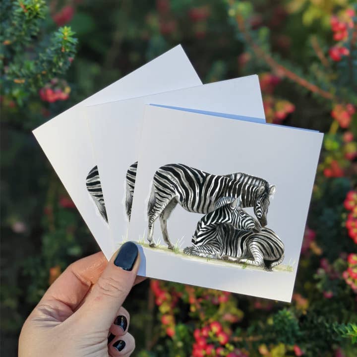 Multipack Zebra Mini gratulationskort, Fyra 4x4 Tum kort för wholesale av Emily Mei