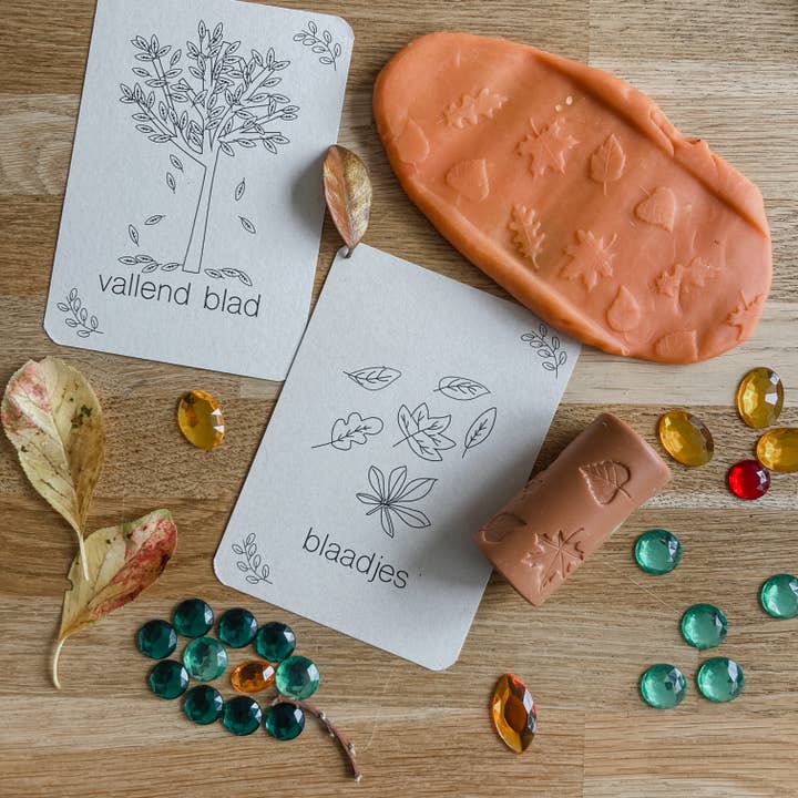 Wildebras - Wholesale Learning Cards - Kids & Baby - Autumn flashcards - learning about the season through play - Montessori3