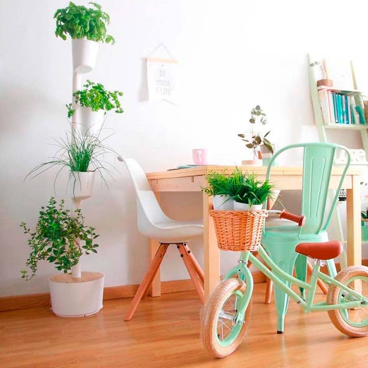 CitySens – wholesale Plant seeds – Citysens Urban Garden: digital kit with seeds5