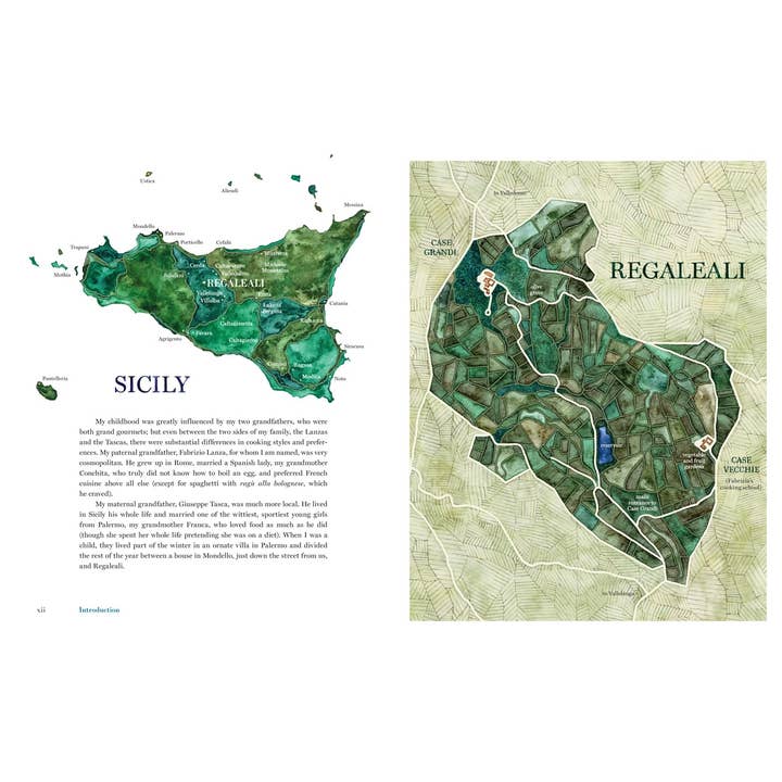 Union Square & Co. - Wholesale Cookbook - Coming Home to Sicily Cookbook by Fabrizia Lanza