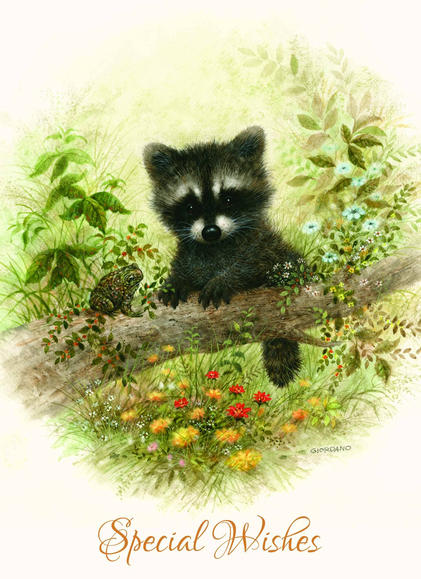 Crown Point Graphics - Vente Cartes d'anniversaire - Cartes d'anniversaire religieuses - Petite faune | 12 cartes4