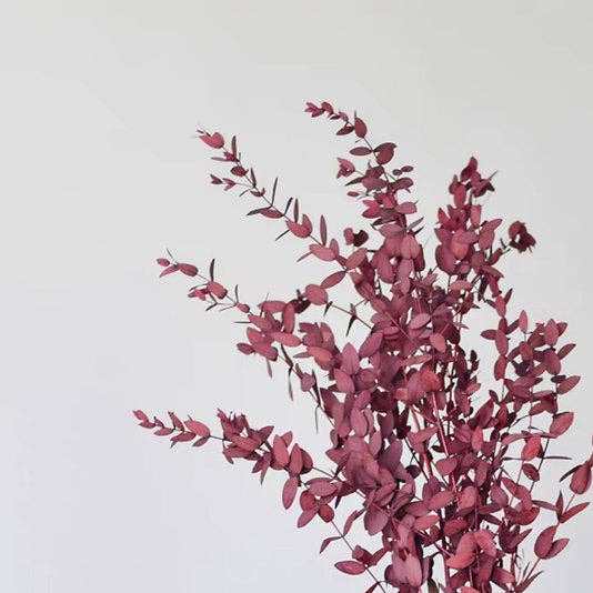 Yaxinfloral – Großhandel Künstliche Blumen – Stabilisierter Eukalyptus - Groß1