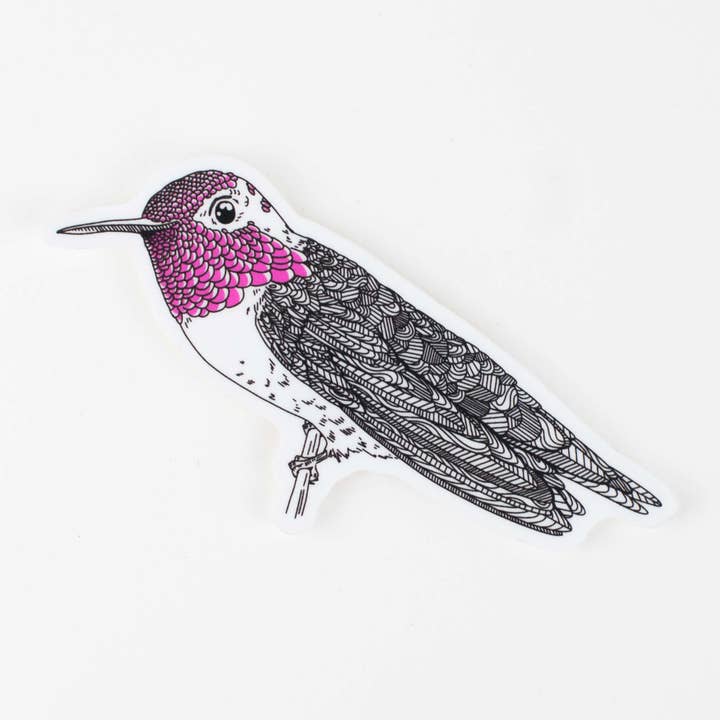 Sticker: Anna's Hummingbird for wholesale by Porchlight Press Letterpress