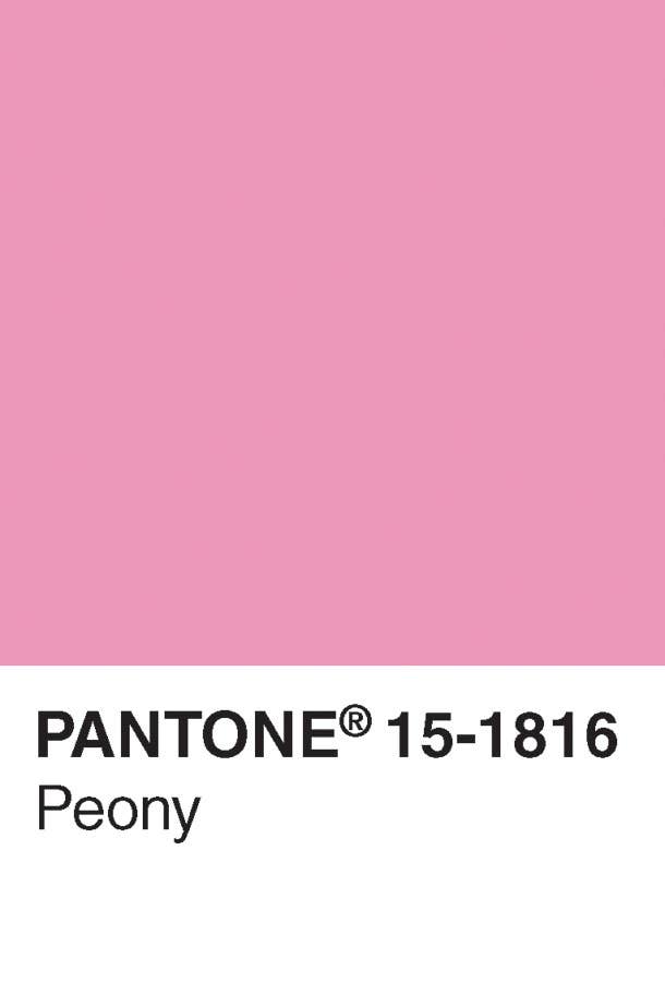 Chronicle Books - Wholesale Postcard Set - Pantone Postcard Box2