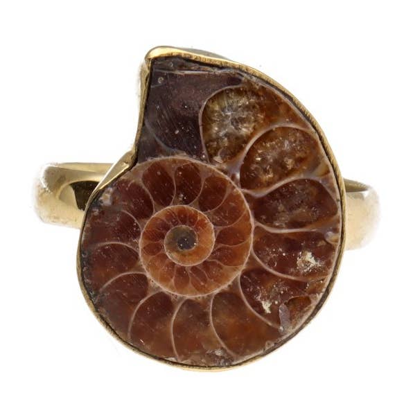 Anillo ajustable de bronce con amonita -11- y otras tendencias de Resultados para datos joyas peltre al por mayor. Devoluciones gratuitas y condiciones de pago a 60 días en Faire en Faire.