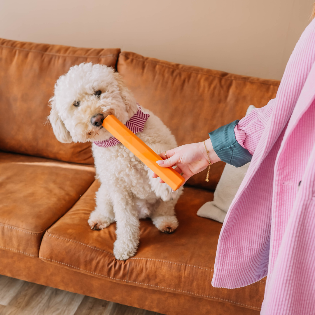 Babelle For Dogs - Wholesale Speeltje - Hond - The Treat Tube - interactief speeltje voor honden - roze9