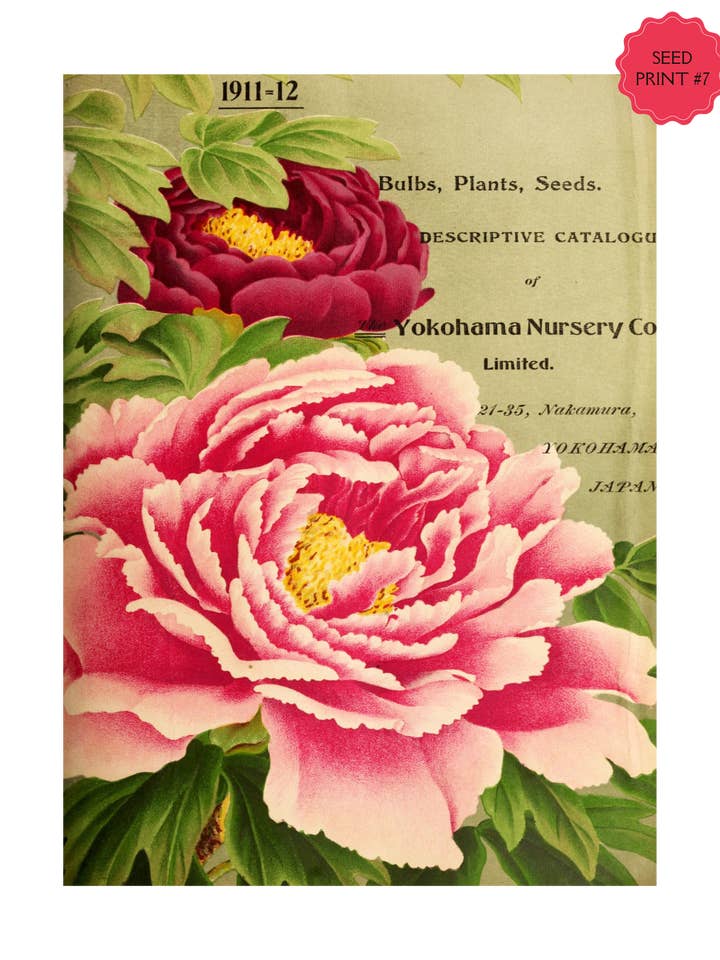 IMPRESSION ARTISTIQUE SUR SACHET DE GRAINES VINTAGE #7 pour la vente par Soraya Moon Co.