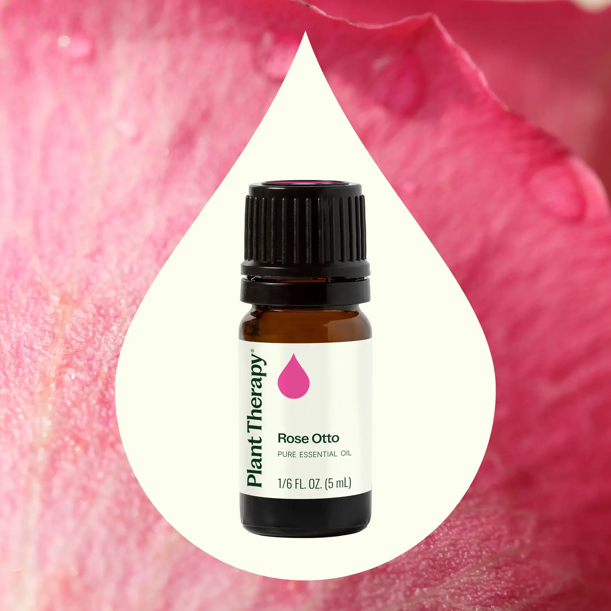 Plant Therapy - Wholesale Essential Oil - Rose Otto Essential Oil 5 mL5