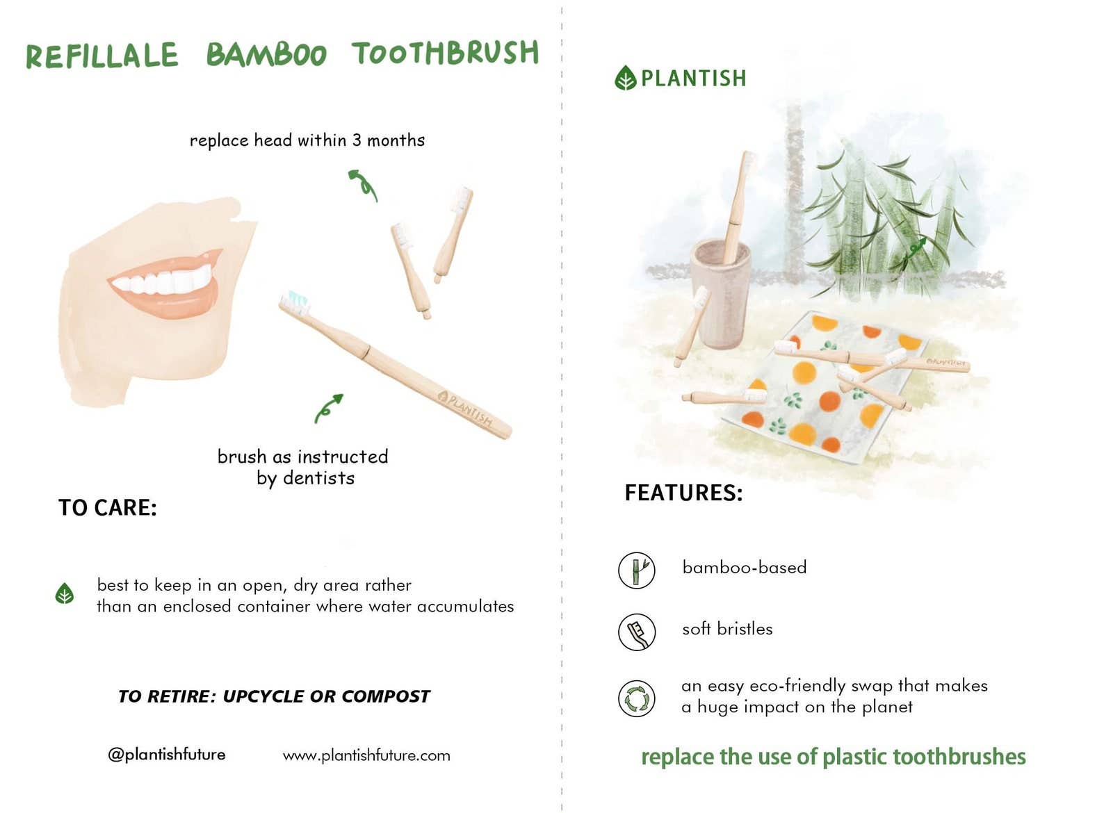 Plantish - Wholesale Toothbrush - Refillable Bamboo Toothbrush (Canada only)5