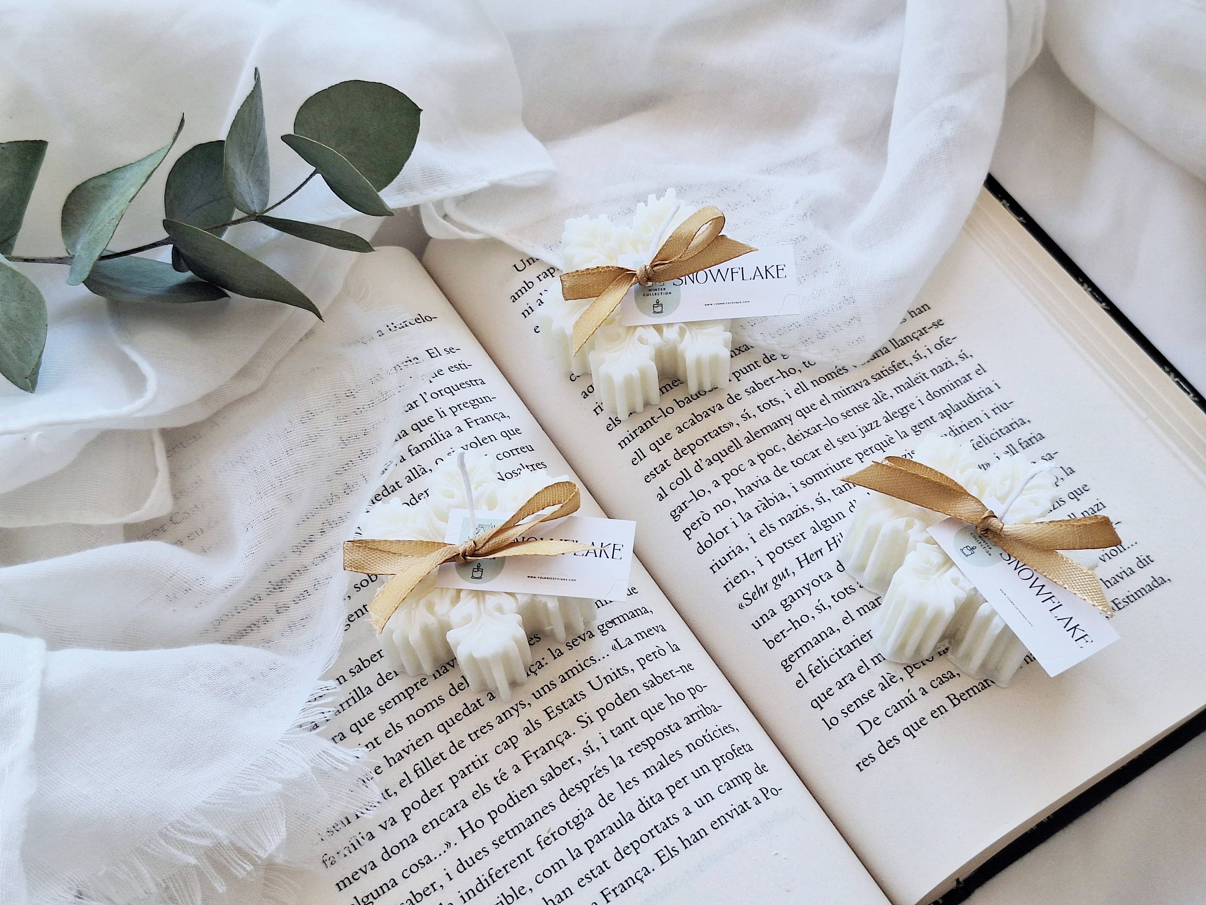 Your Nice Things - Candles - - Wholesale Novelty Candle - Snowflake soy wax Christmas candle1