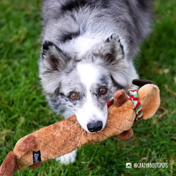 ZippyPaws - Wholesale Pet Plush Toy - Dog - Holiday Jigglerz® - Reindeer - Christmas Dog Toy2