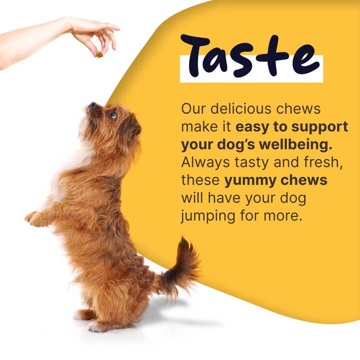 Chew + Heal - Wholesale Pet Supplement - Dog - Healthy Pup Calm, Anxiety & Behavior Supplement for Dogs4