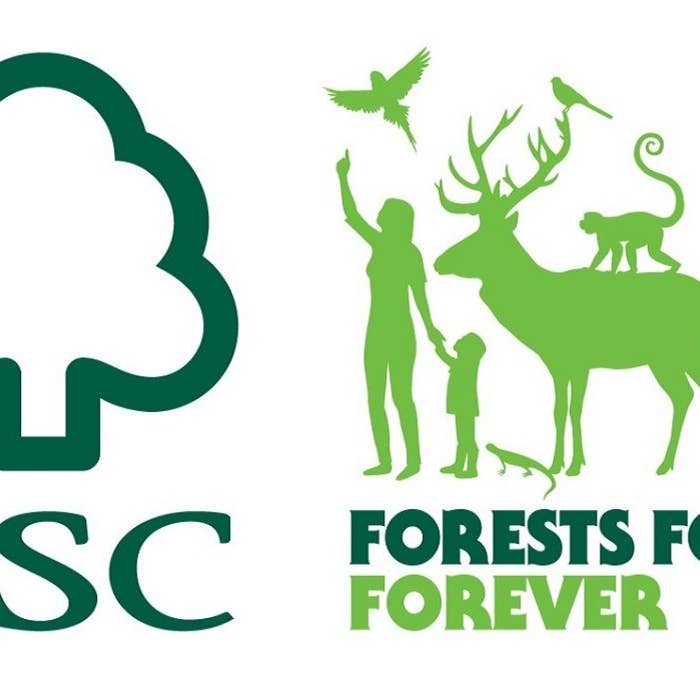 Pintar-Pintar Editorial - Wholesale Pets - Hallelujah for my little dog Perico6