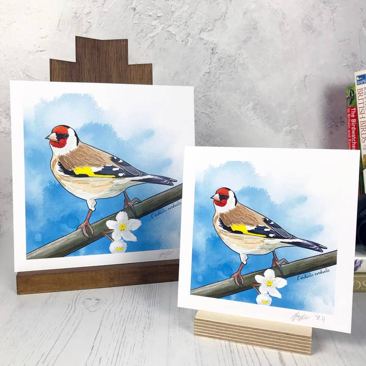 European Goldfinch Bird Print for wholesale by Loadofolbobbins