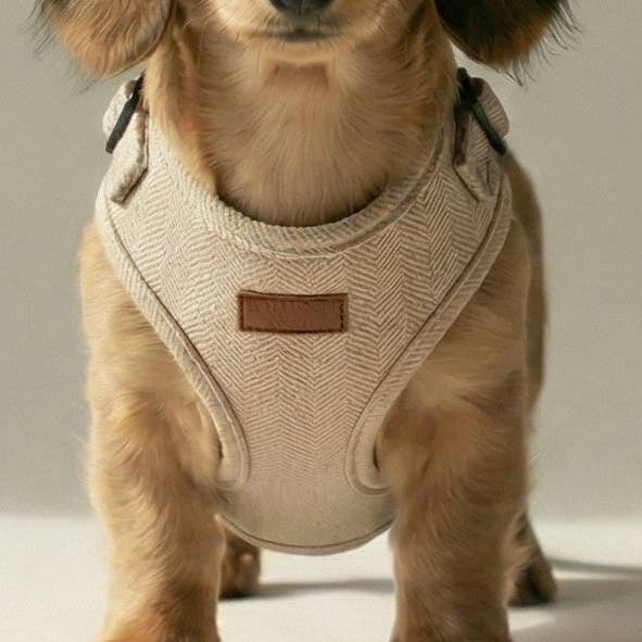 Tweed-sele for engroshandel hos Good Dogs Only