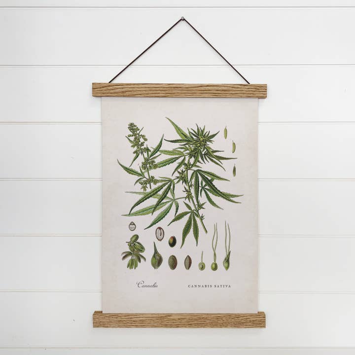 Cadre en bois à imprimé botanique vintage Cannabis Marijuana pour la vente par Hangout Home