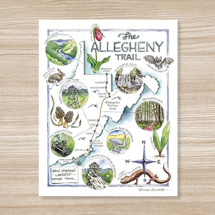 Geïllustreerde kaart van Allegheny Trail - Kunstdruk voor wholesale door Rosalie Haizlett Illustration