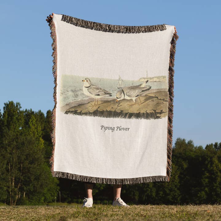 3dRose - Vendita all'ingrosso Plaid - 3dRose, Fratino Piping di John James Audubon, Coperta1