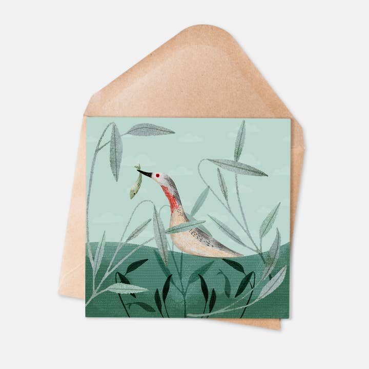 Red-throated loon Card - Everyday Nature Card for wholesale by Ilana Ewing Designs