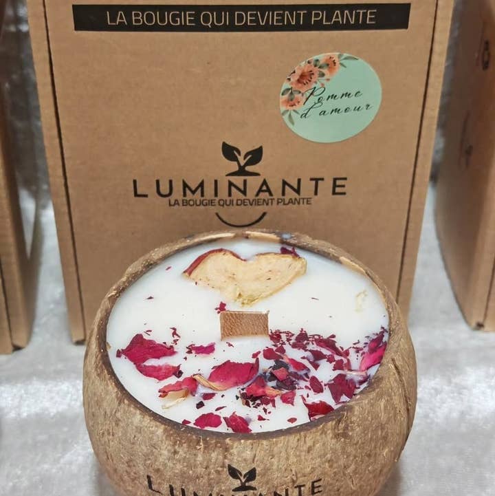LUMINANTE - Wholesale Jar/Filled Candle - The Candle that becomes a plant Love Apple "coconut" model1