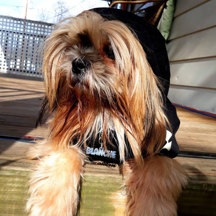 Tres Carmela - Wholesale Pet collar charm – Cat/dog - Personalized Dog or Cat Tag Pendant Sterling5