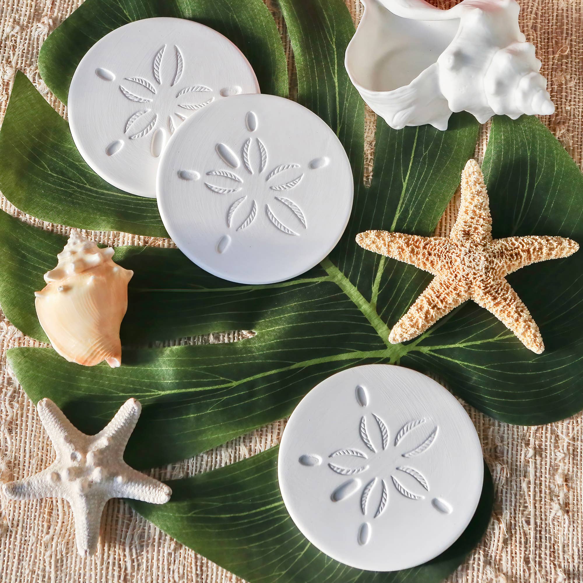 Kate Aspen - Wholesale Coasters - By the Shore Sand Dollar Drink Coaster Set of 43