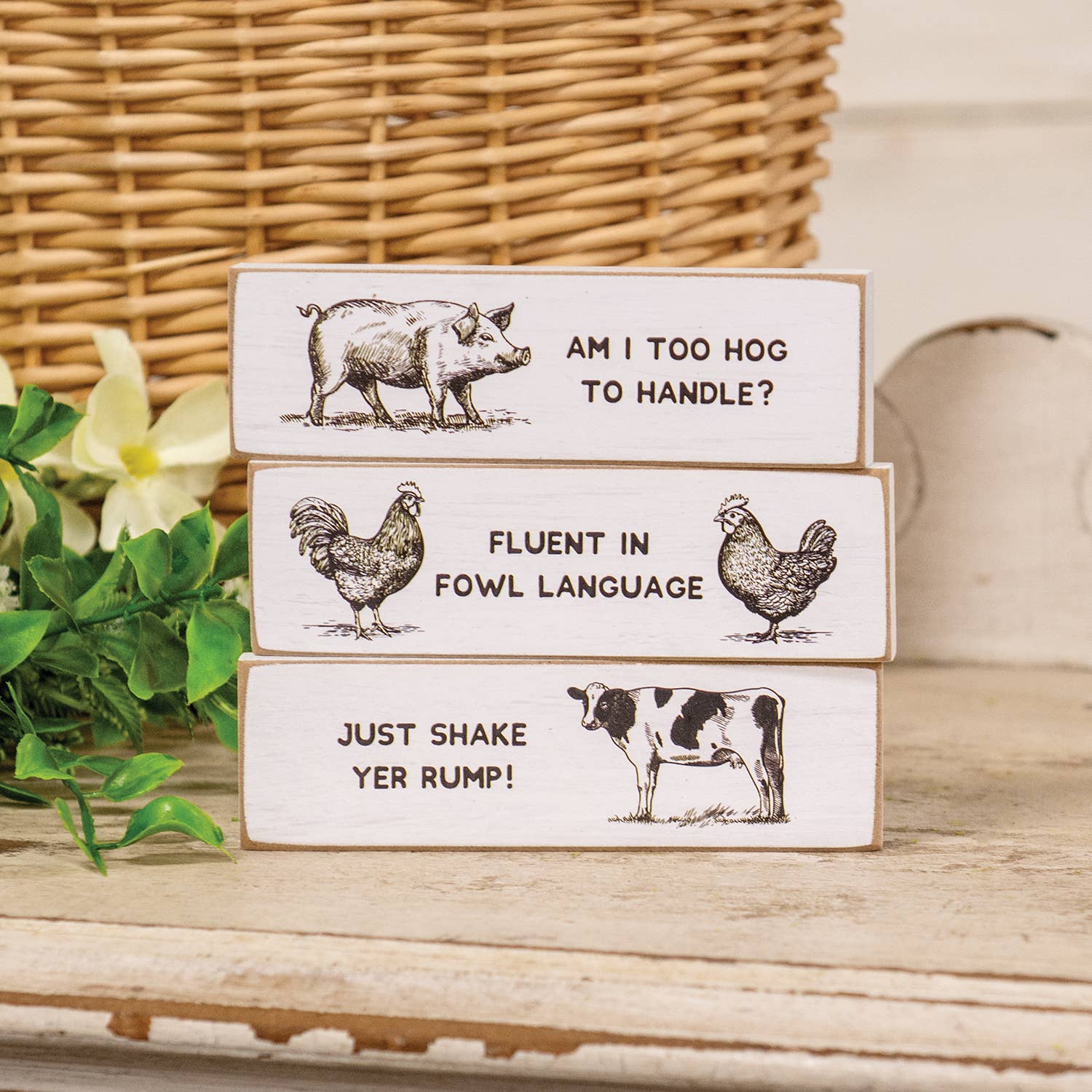 Col House Designs - Wholesale Decorative Tabletop Object - Too Hog To Handle Thin Mini Block - 3 Asstd.1