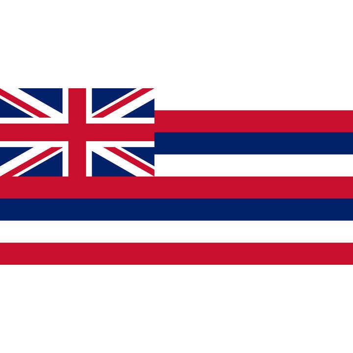 Hawaii 5'x3' for wholesale by Worldwide Flags Ltd