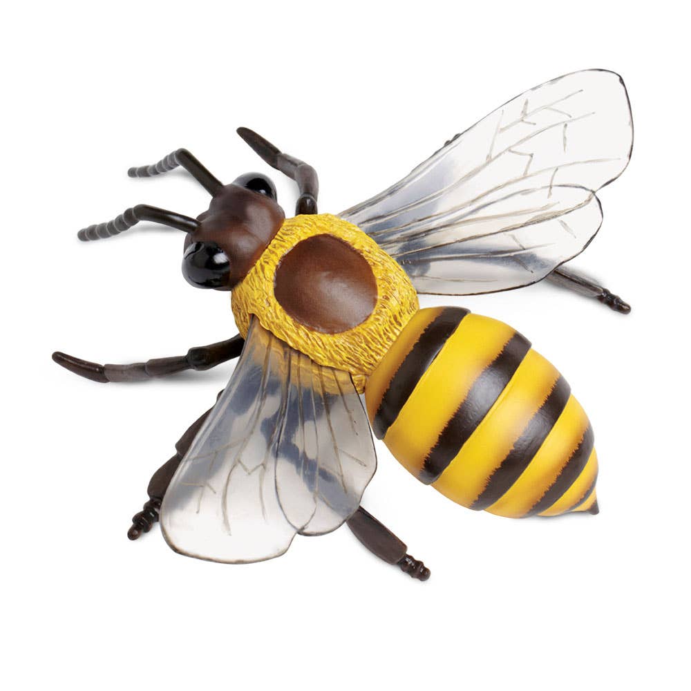 Safari Ltd. - Wholesale Decorative Figurine - Honey Bee - 2682292