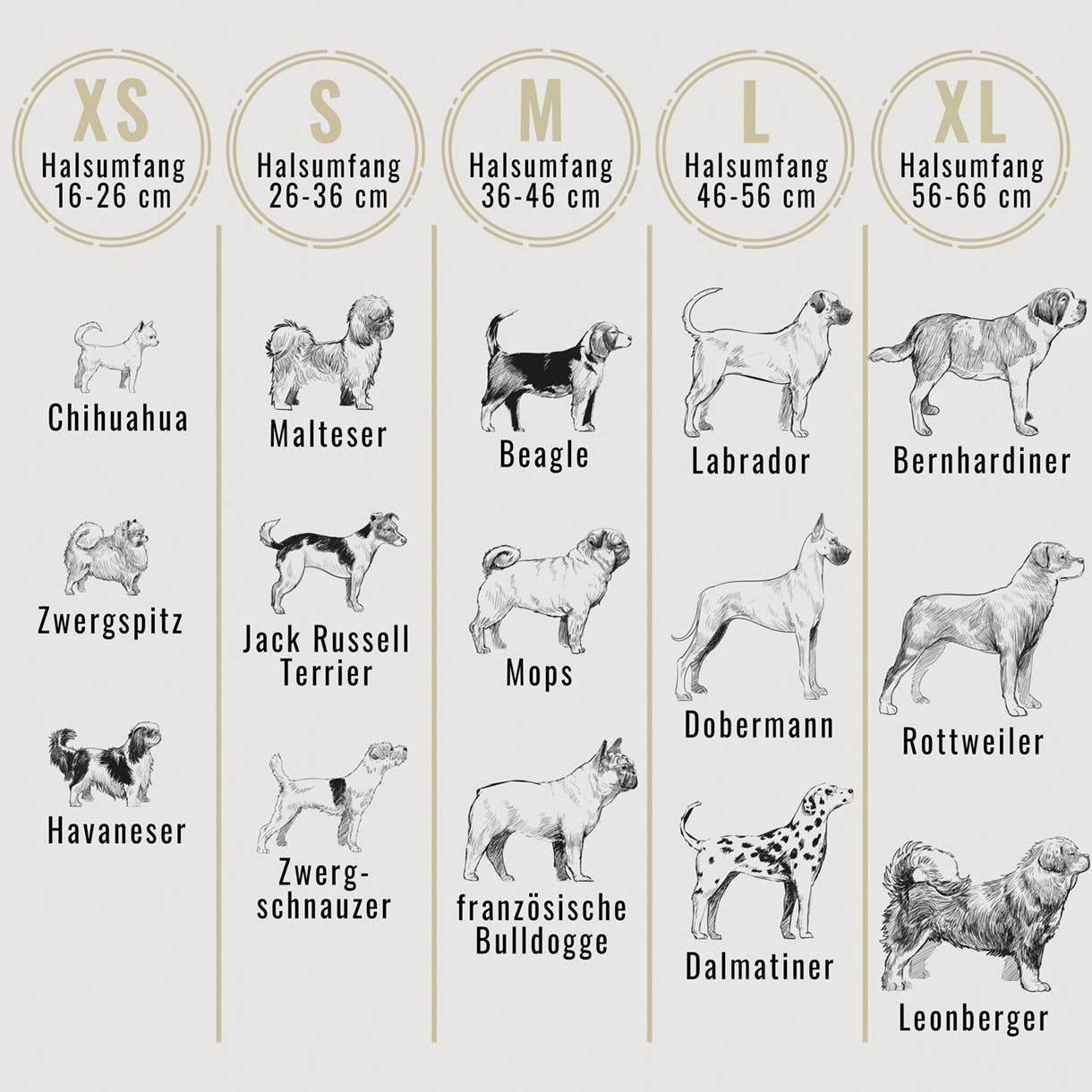 ne&no - Vente Collier – chien - Ensemble collier et laisse ne&no® en cuir vegan pour chiens13