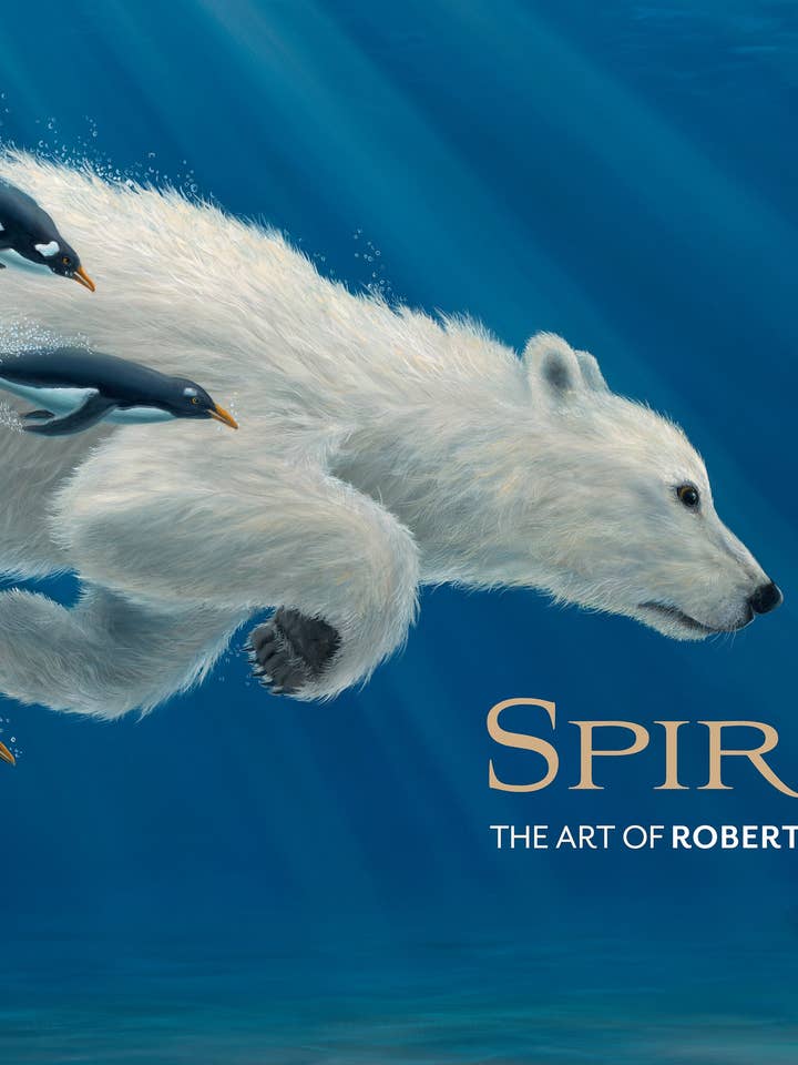 Spirit: The Art of Robert Bissell for wholesale by Pomegranate