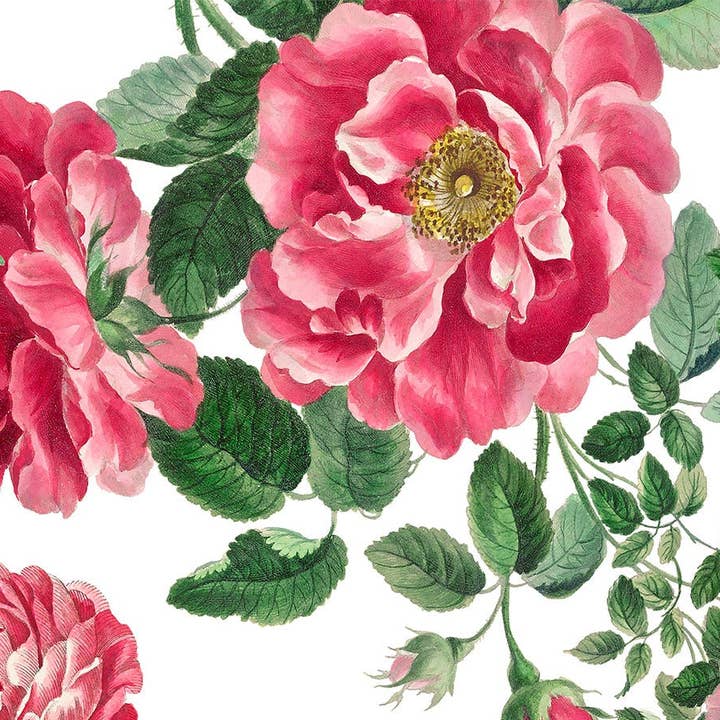 "CECILE" Conical lampshade in printed fabric. for wholesale by The Napking