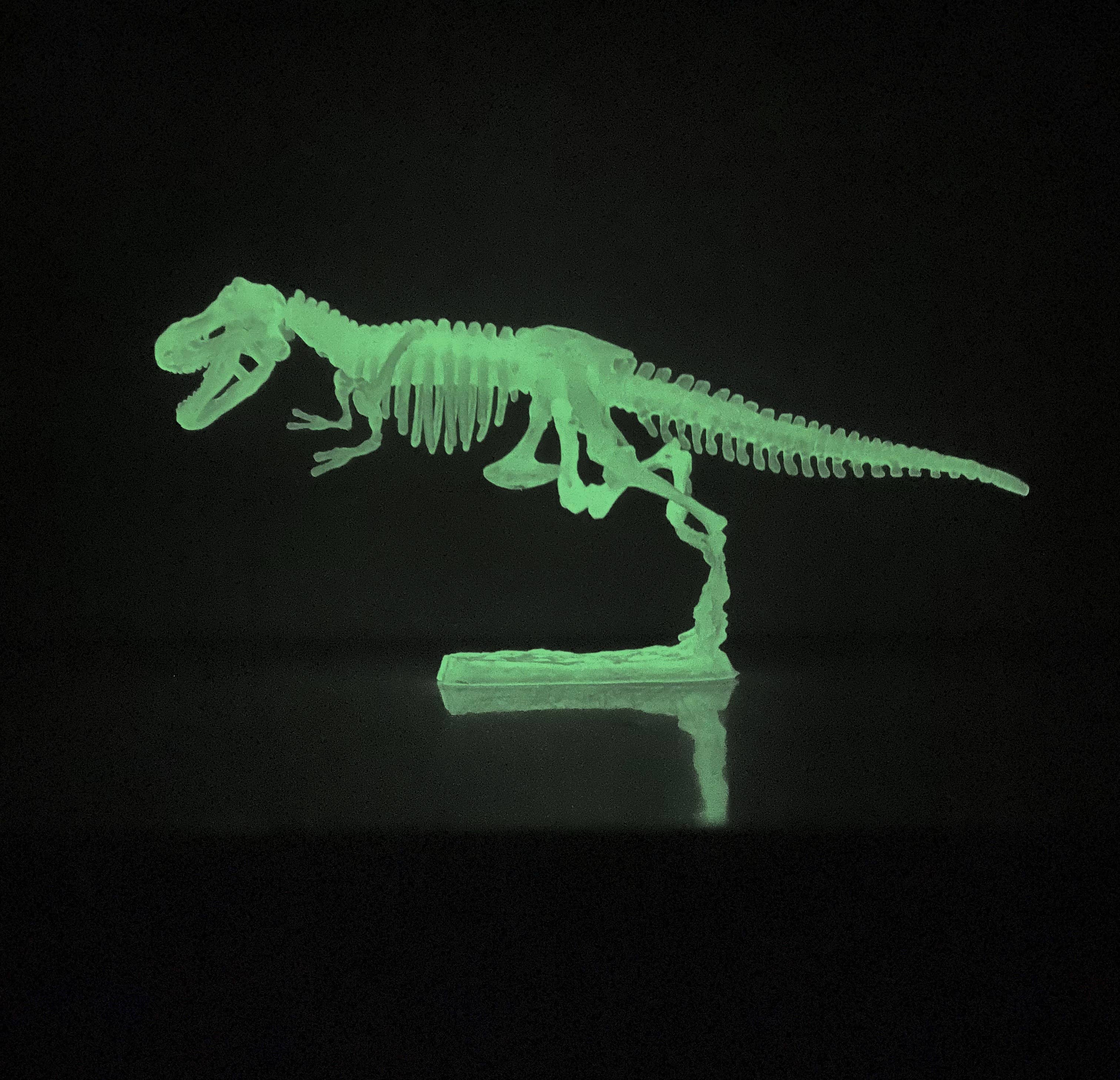 TEDCO Toys - Wholesale Toy Set - Kids - Glow In the Dark Dinosaur Skeleton Models3