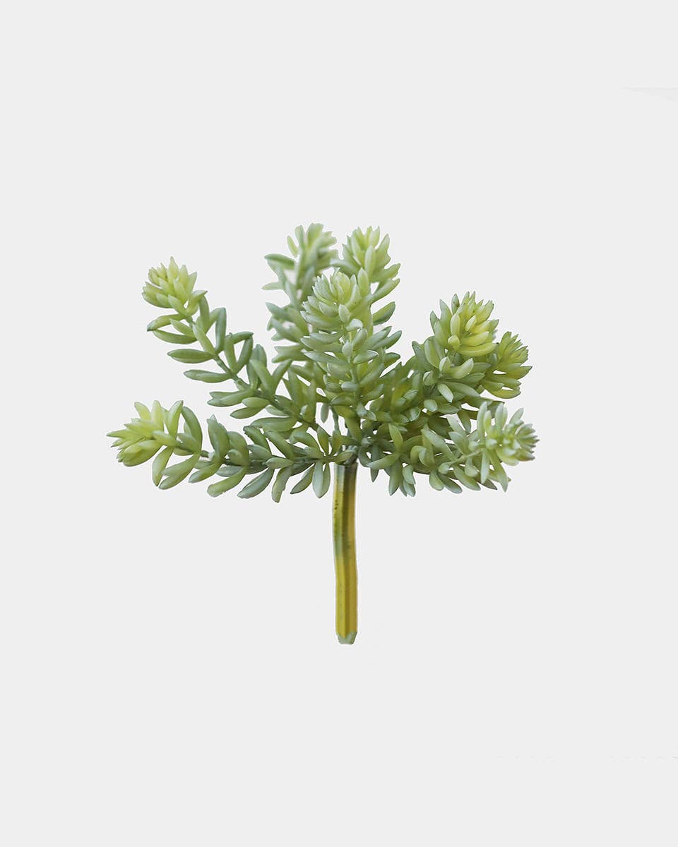 Prestige Botanicals - Wholesale Artificial plant - Artificial Mini Jade Succulent 7”