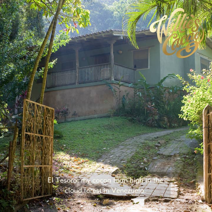 Willie's Cacao – wholesale Chocolate bar – Luscious Orange. Dark chocolate with orange. Vegan. 26g bar7