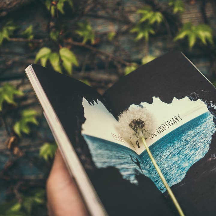 sime srl - Wholesale Journal/Diary - Reisetagebuch, News, Journal, Go Wild for a While6