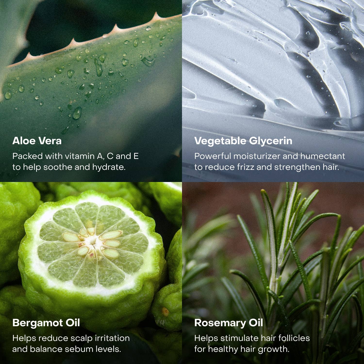 Everist - Wholesale Haircare Set/Kit - The Shower Essentials Travel Kit6