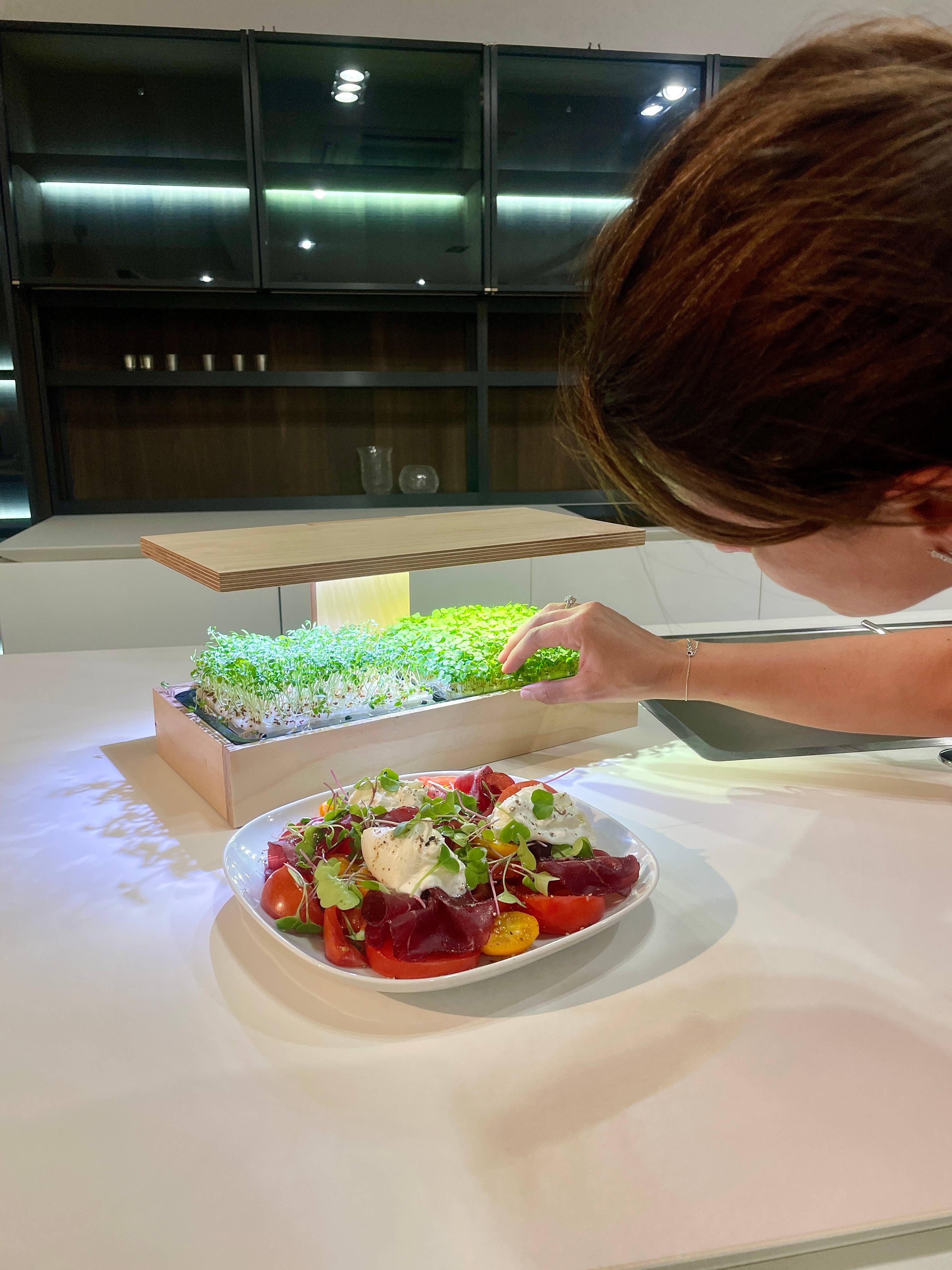 Caulys - Wholesale Plant Pot - Caulys Home - SOLO5