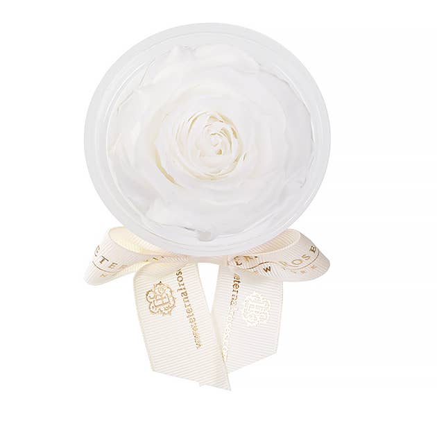 Eternal Roses® - Wholesale Party Favor - Eternal Rose Party Favors0
