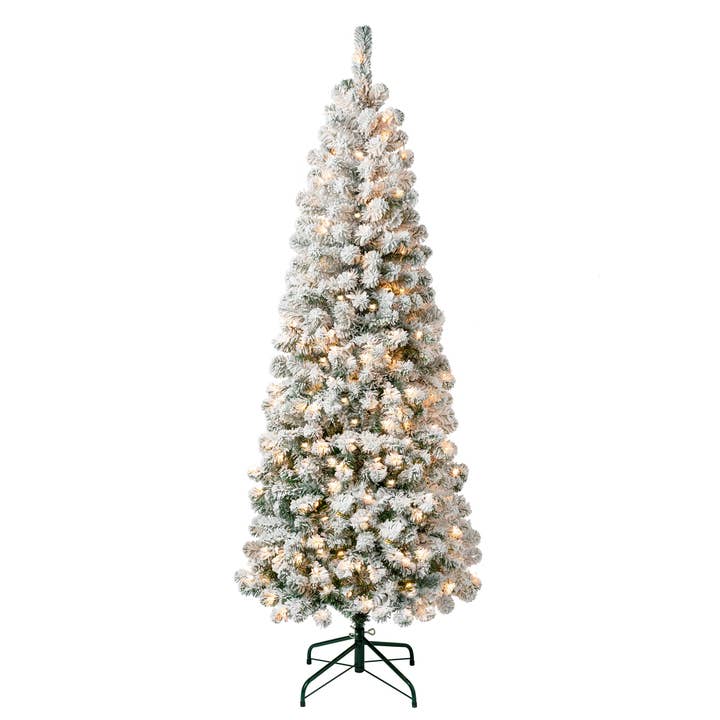 6 ft. Pre-Lit Acacia Medium Flocked Tree with Clear Lights, Plug-In for wholesale by National Tree Company