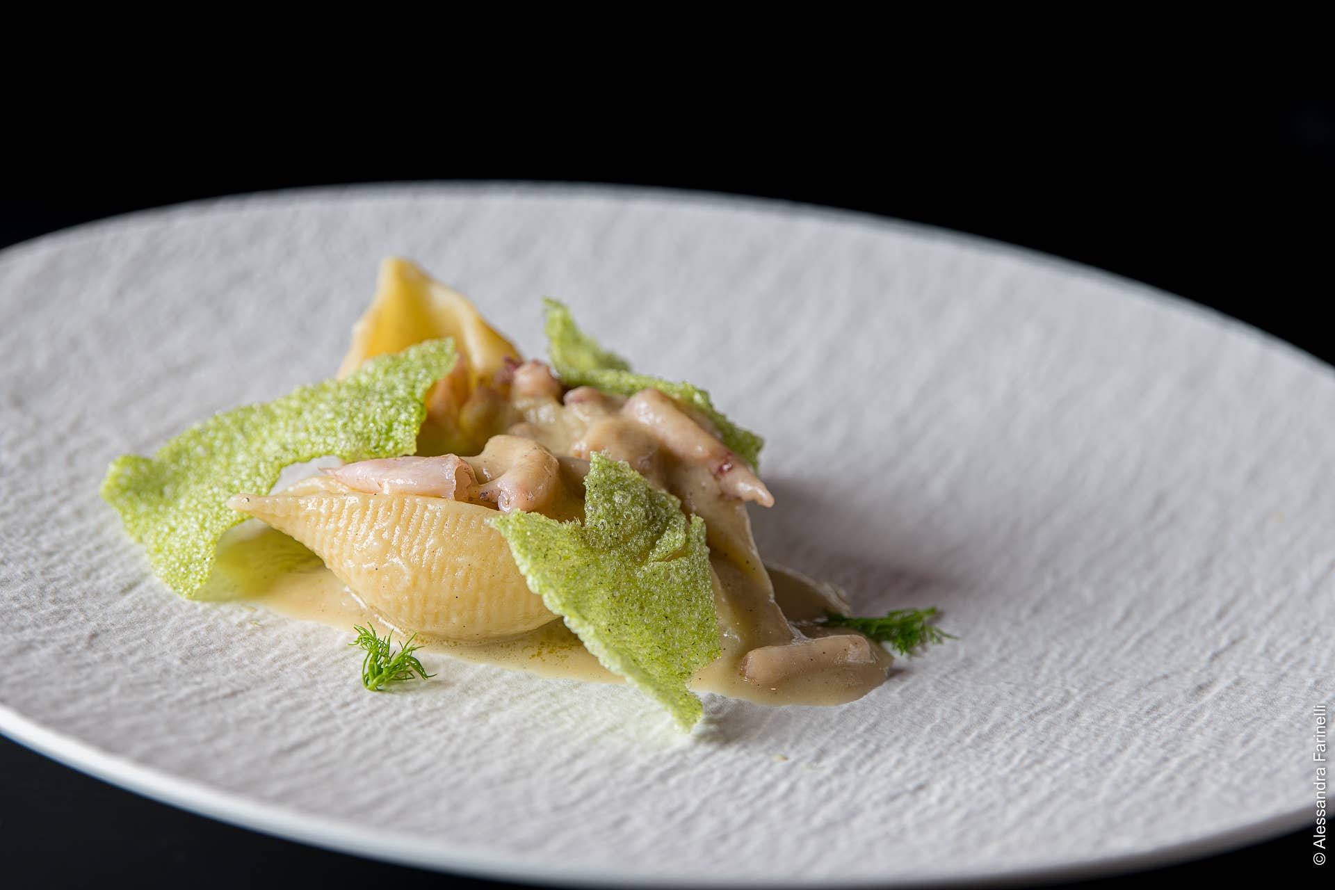 Pastificio dei Campi - Vente Pâtes - Pâtes Conchiglioni de Gragnano IGP - 500 g 100 % Made in Italy3