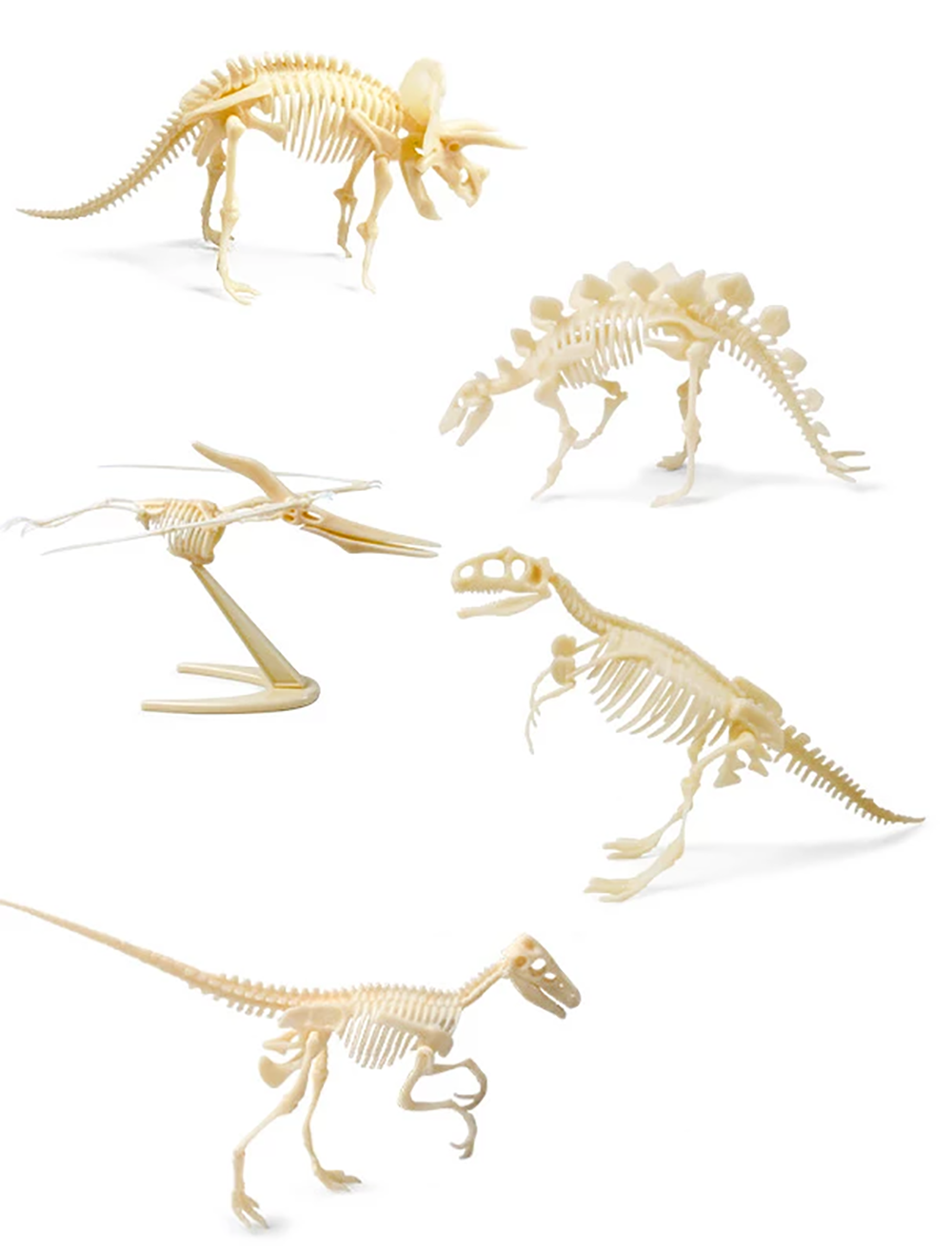 Texas Toy Distribution - Wholesale Build-a-Toy - Kids - Dinosaur Skeleton Realistic Model Assembly Peggable Kits2